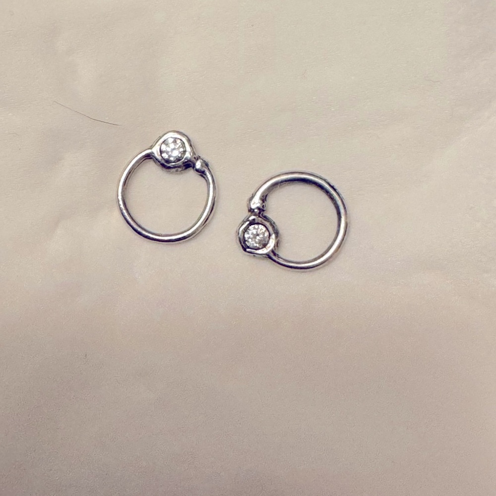 Lee Brevard Double Hoop earrings